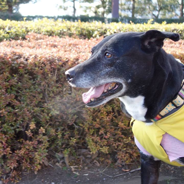 9d4fcb49 2efe 4d40 9b3c 8a1b5d921b04 1740270455472