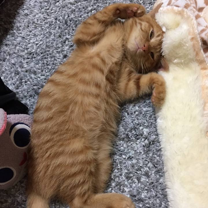 9d4fe549 4af1 4e10 a8d2 6d9935c37cba 1513568175892