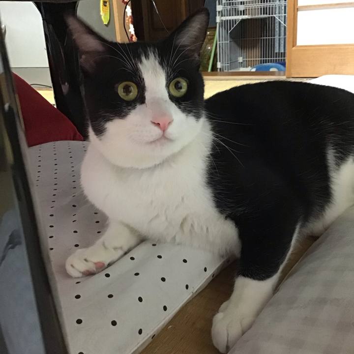 9d4fe996 3186 4480 b9e3 989892924b6d 1689849433173