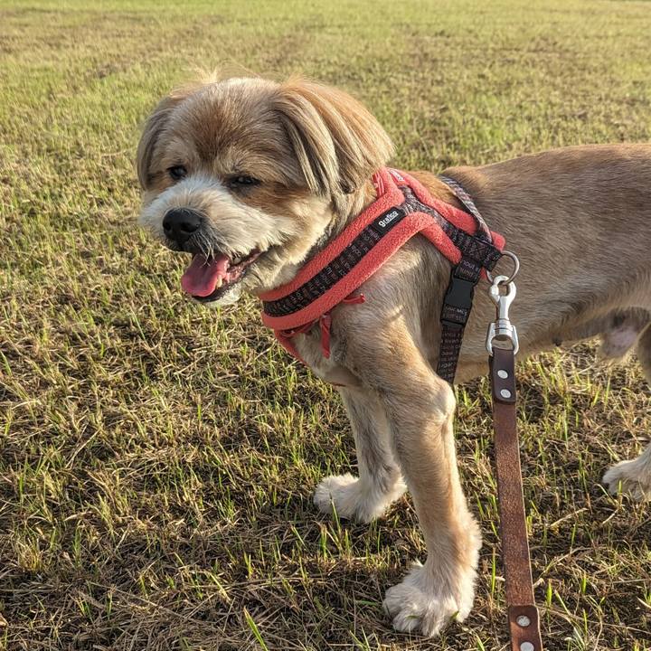 9d50259d da19 410a a870 dd24c2289e67 1689420355041