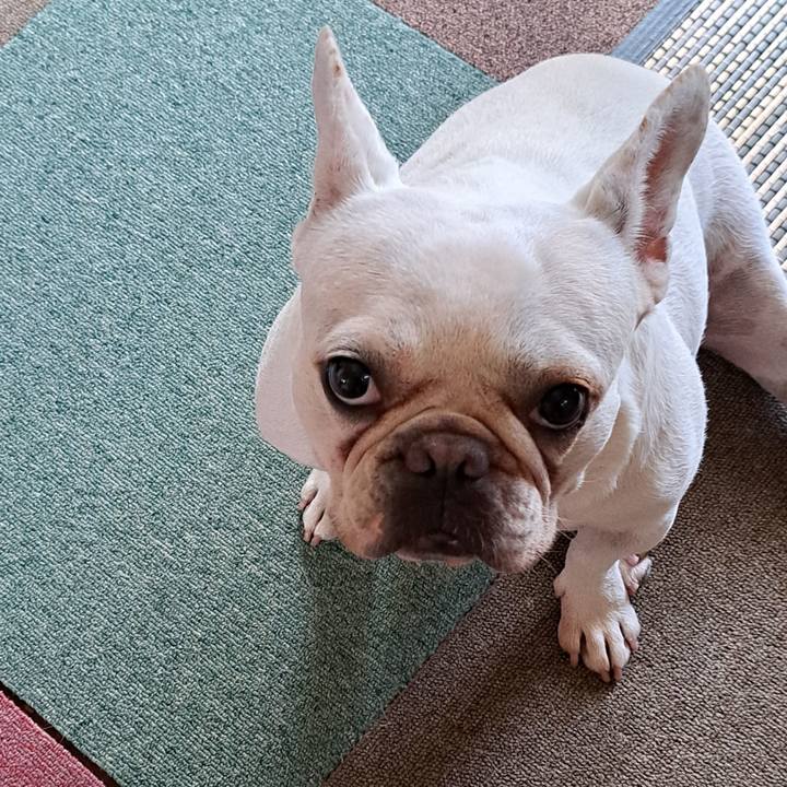 9d5033ea bd55 4b20 843c b54063c895b5 1693020988751