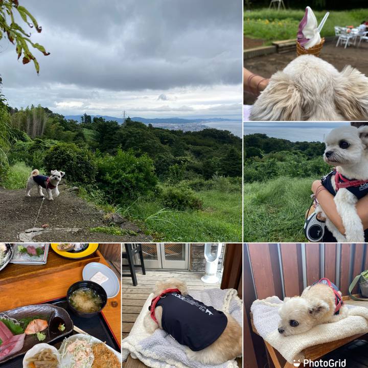 9d503b0c 9b3a 41d0 99aa 0ec7888988ab 1661743224873