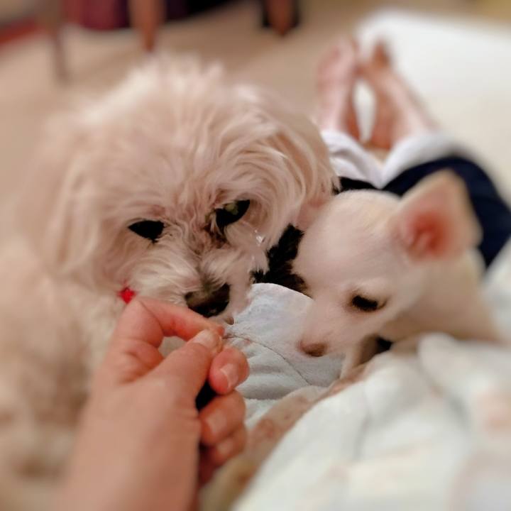 9d5042b1 4301 4cad afac f5692806e543 1704283844238