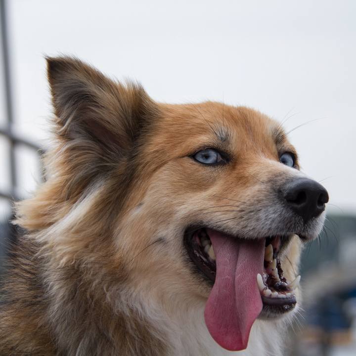 9d50512d 0325 433a 861f 82a116abcec5 1542853297700