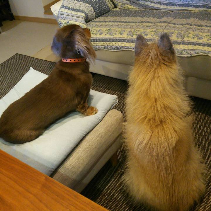 9d506ce4 bd36 4949 b1d4 eb582d22d9f5 1513206197351