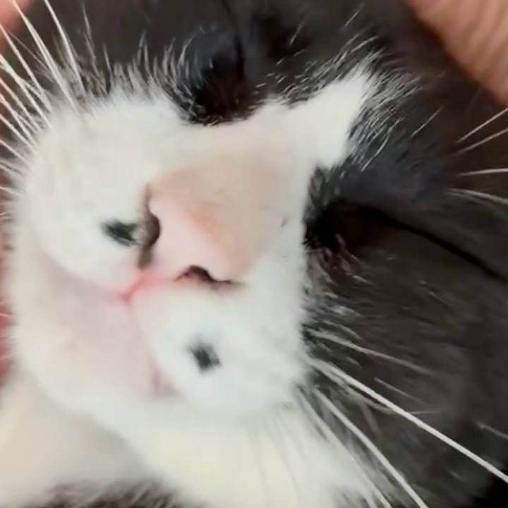 9d509cb8 03e3 4b09 9761 d7a4dc3f76f4 1760500064915