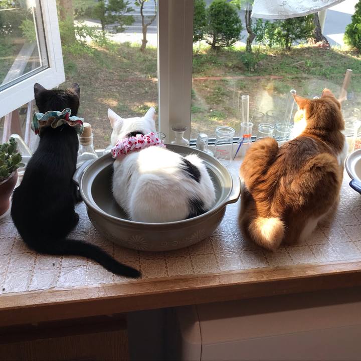 9d50a7a6 4946 42fc 921d 6de1cad5f18d 1564612815164