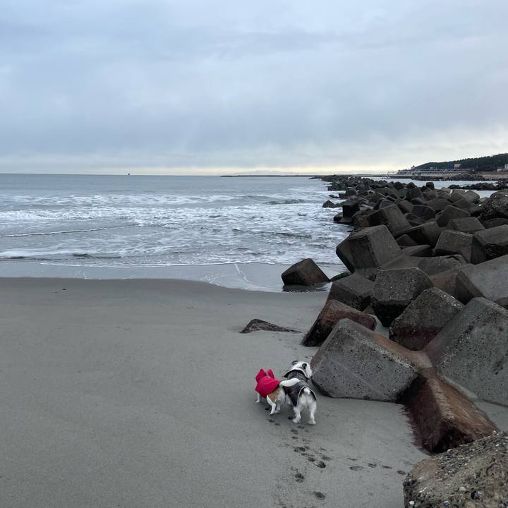 9d50aa65 ec97 4ed8 bc15 bc193393d623 1673055176540