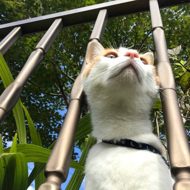 9d50acf8 9525 4854 930d fee5f49e66e1 1507941672636