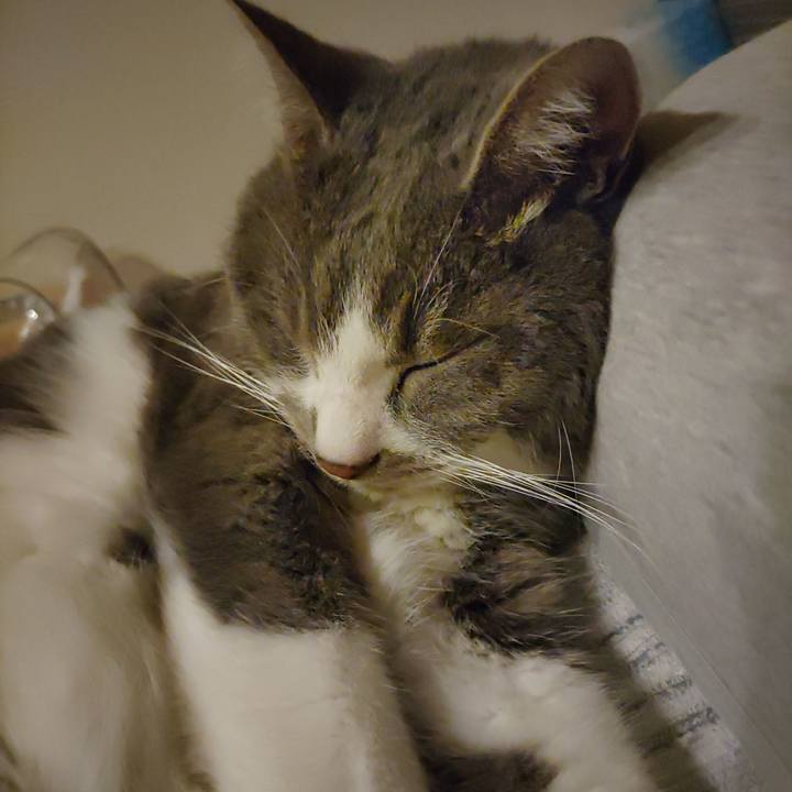 9d511e21 4796 482e bc26 f4c8ca268591 1717459560476