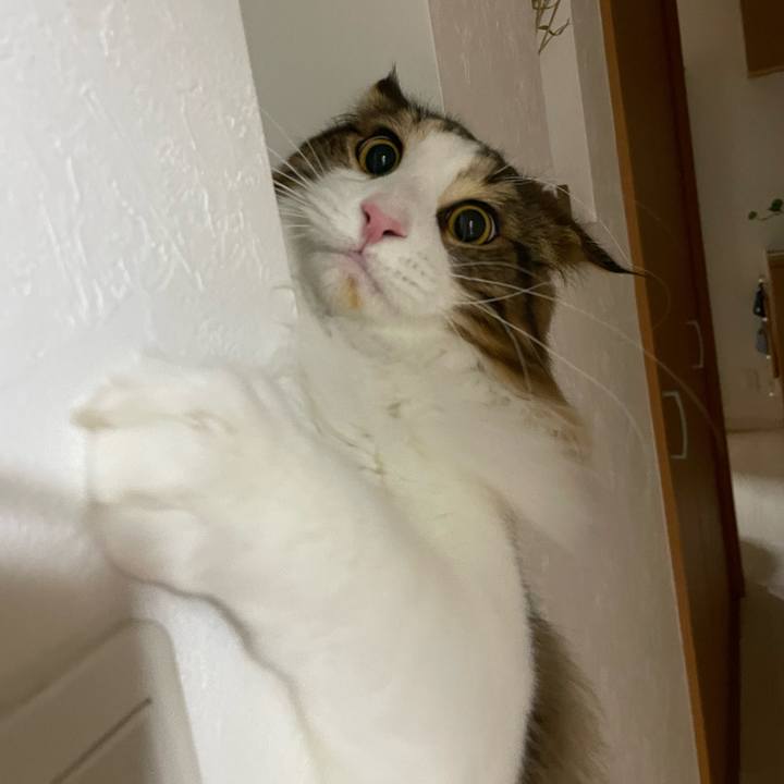 9d512c63 b2ad 4527 9236 c2088067ab20 1644582826545