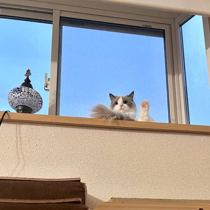 9d513a28 1ff2 4e8b bc32 aba3e3090238 1687515470582