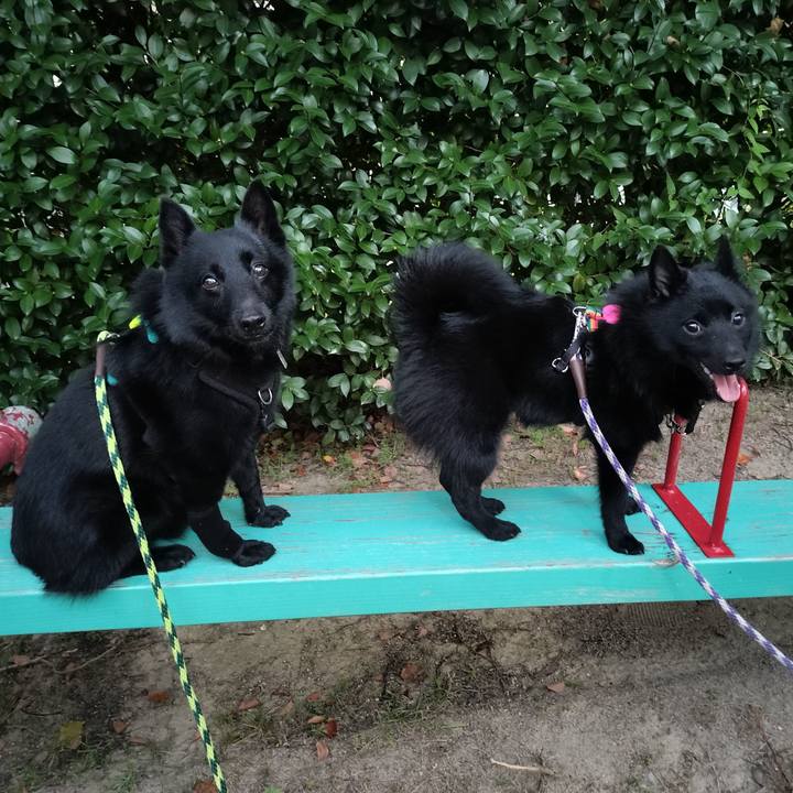 9d513b8b 5b8d 4277 8df7 643b7b48fbb2 1760048001097