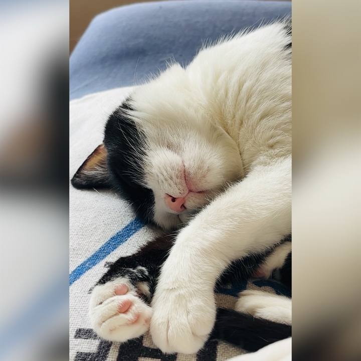 9d51668b 56e7 4065 9c38 a85e144263a6 1751923398658