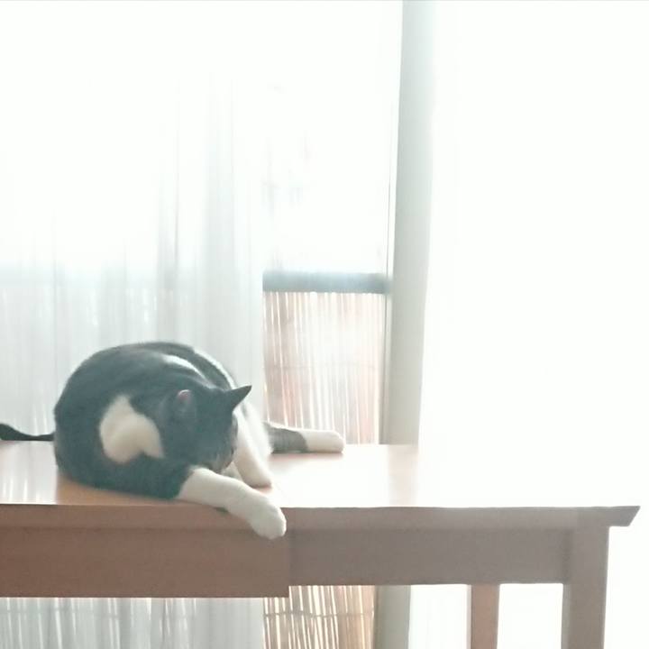 9d517bec 07a9 4a15 85a8 585991fa66dd 1532475503179