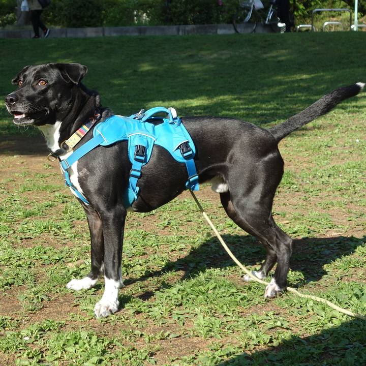 9d519b66 1467 472b a2c4 af54320dd988 1618015849898