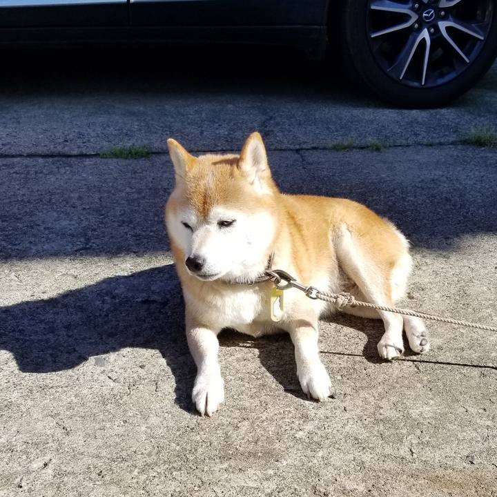 9d51ad29 f972 4fb4 844f 6ab3838f62fa 1664064650574