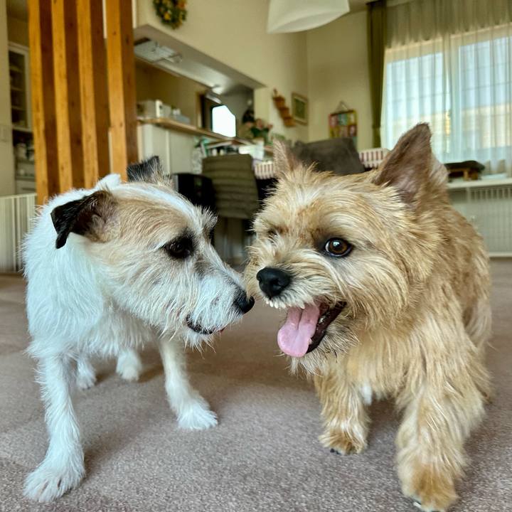 9d51c458 31f8 4680 8d3d 40fb805e303b 1749302727287