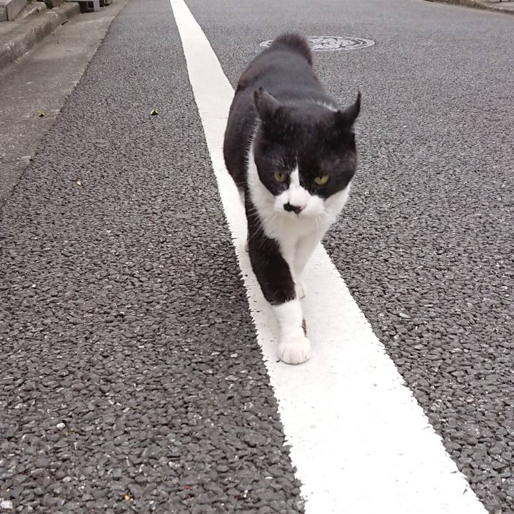 9d51d9ba ff21 4c13 9f20 76d1826013ec 1621670188358