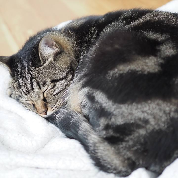 9d51f9fc fc05 44c0 a484 944249a86af0 1604203962838