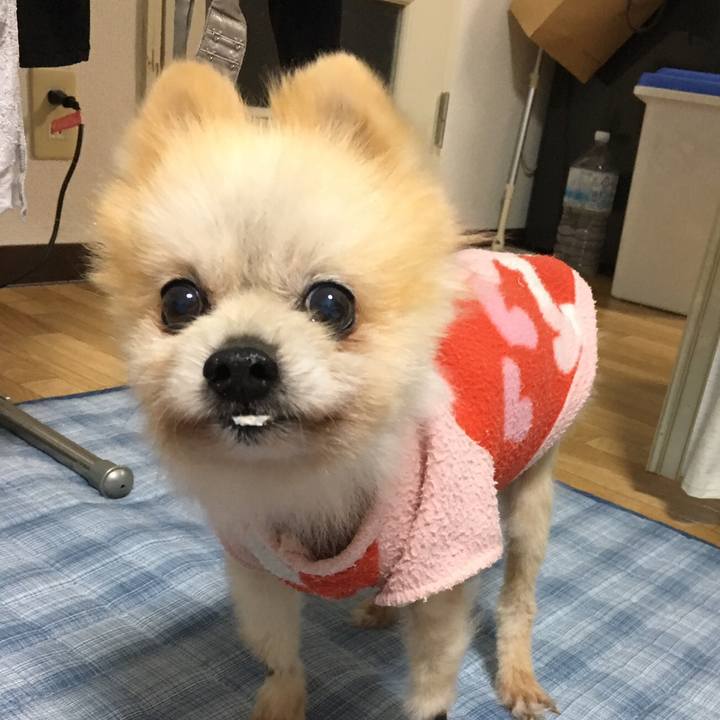 9d527bc0 055a 46e7 a380 e852d6cca9d7 1508188295450