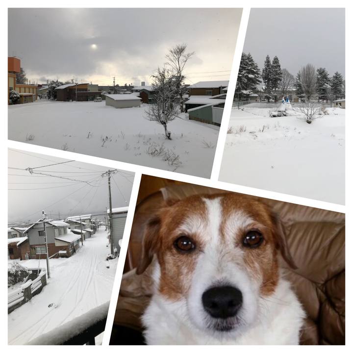 9d527fd7 a622 4c14 8577 3955d91b41d5 1513207818731