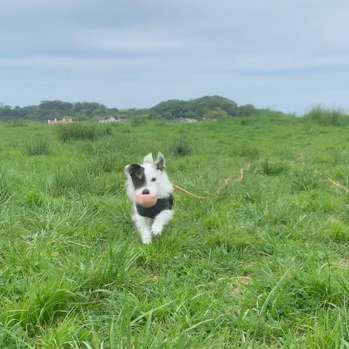 9d52a63e 9d33 4686 bb47 7997befd2036 1745804812827