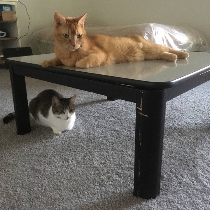 9d52b397 b60c 4a1a 96c3 20e35b3c8a89 1656900124034