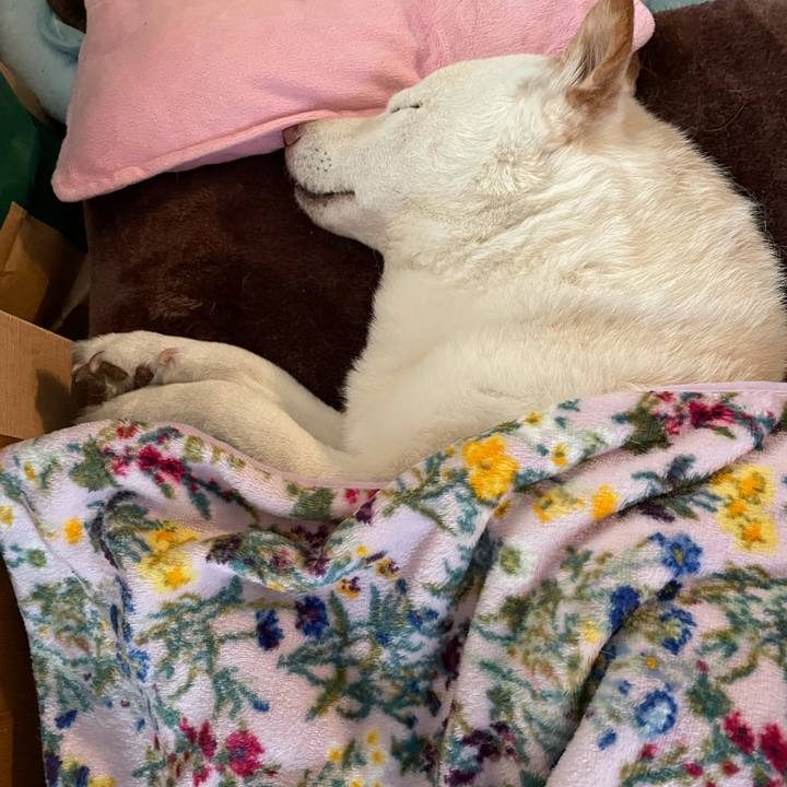 9d52db35 5880 4473 82d0 1963f20f1036 1636086688245