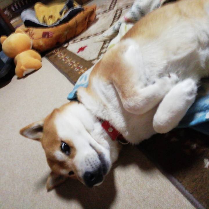 9d530ec8 20b6 4b80 a00b 9d2258062c0e 1610627438541