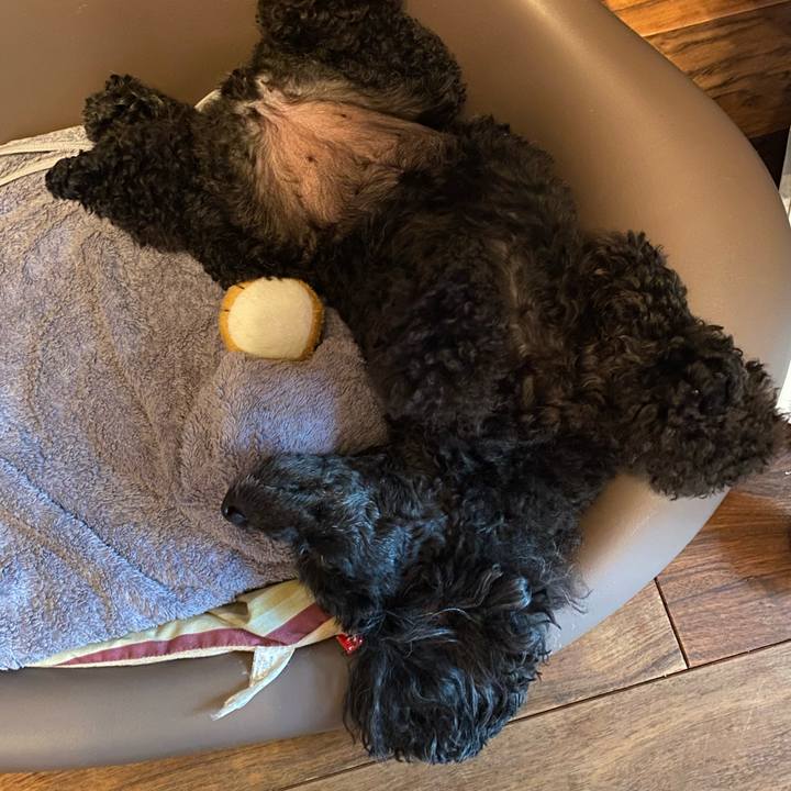 9d533967 969e 410b 99e8 ac615499c219 1624070948446