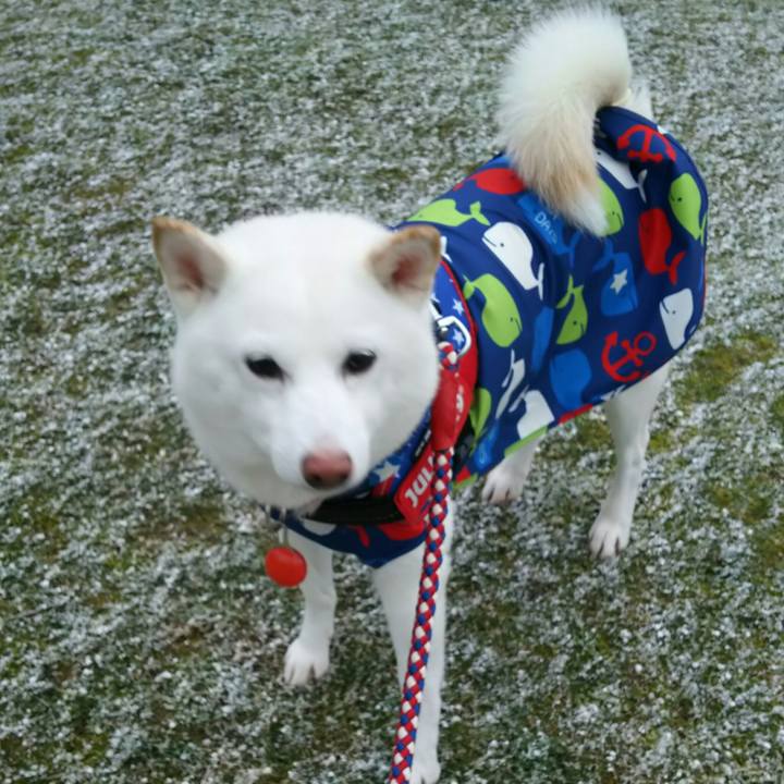 9d5362a4 3491 408b bbbd 8d9993e74185 1580889757542