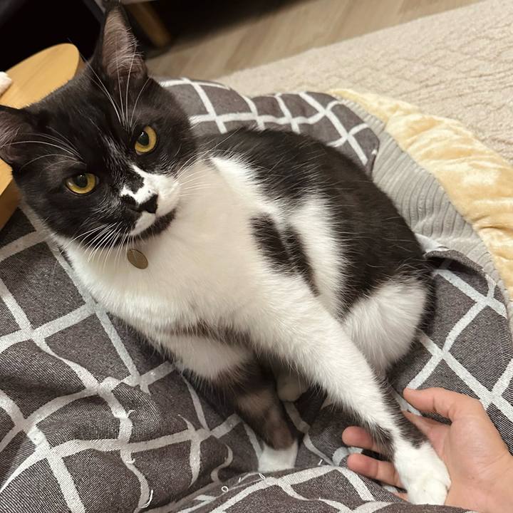 9d537c27 0593 431d 8a46 c89703904b14 1765285459117