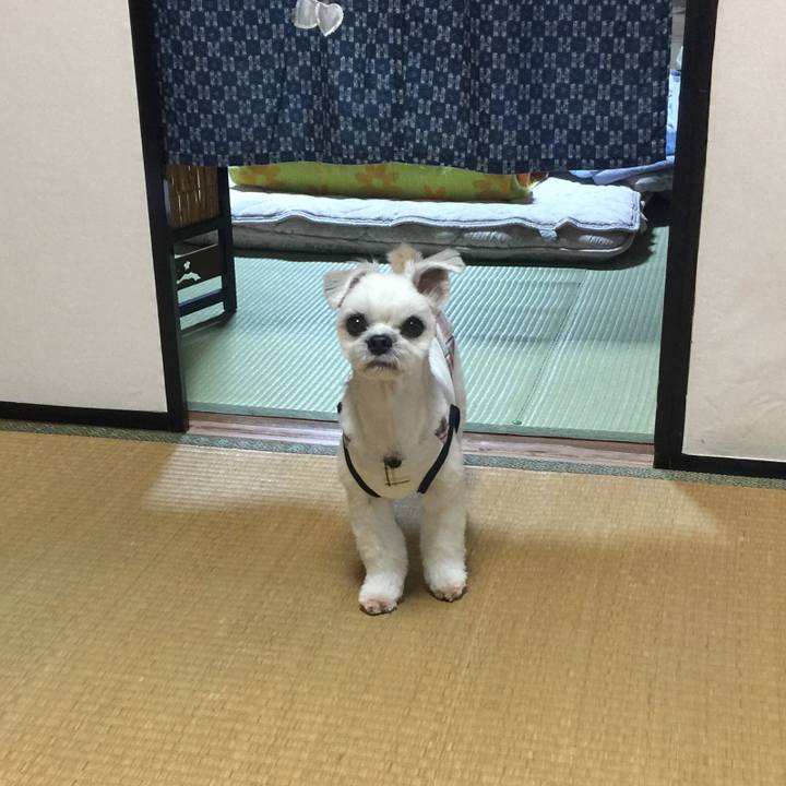 9d538d31 8af0 40b8 88ac fe267add9724 1537535612067