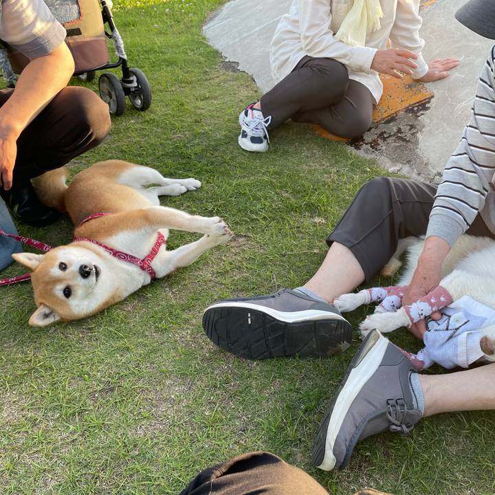 9d5394ed 7d81 4535 8ea5 b154f8fff702 1684863824270