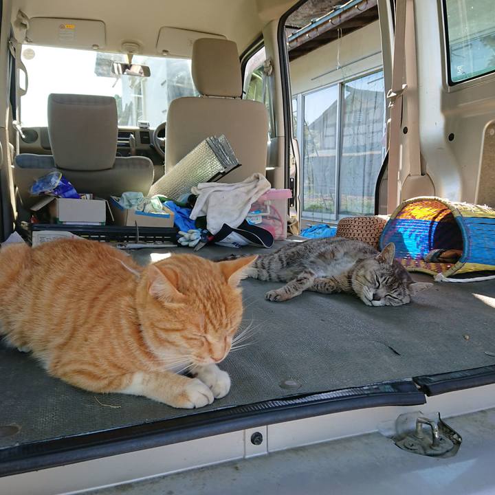 9d53a114 baa3 4839 955a eb1da3157840 1592640716397