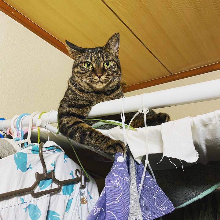 9d53ad71 67fa 44fb aa90 48299364d0dd 1598576020202