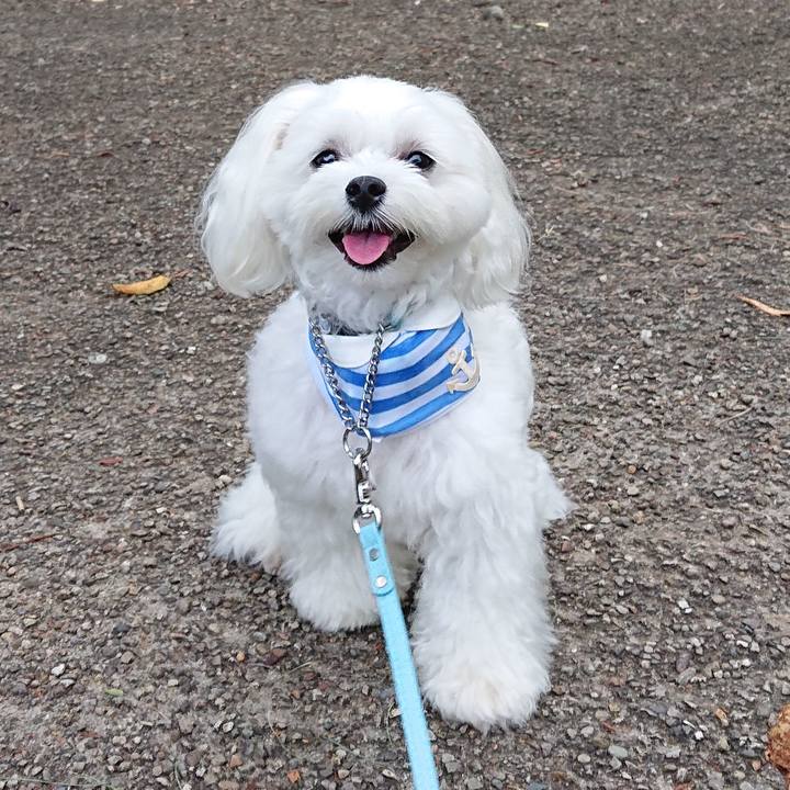 9d53bcdb 6670 4f7f b75b f153de697485 1599822345719