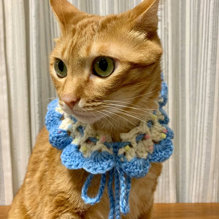 9d53d8c4 fae5 45e3 8d6a 183370e86b23 1627382794588