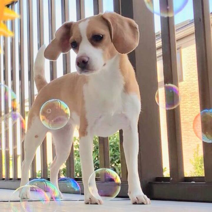 9d53dde7 2b5e 47ce 8cd5 4ef745878320 1558949130578