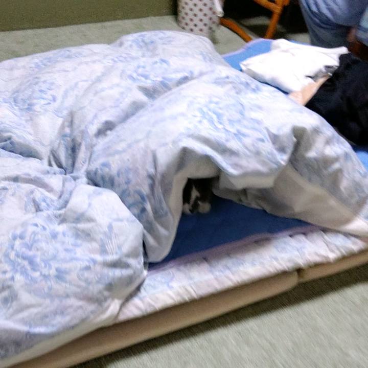 9d53ea9c c718 4bf1 b45e b75c1c1cedd2 1603015891551