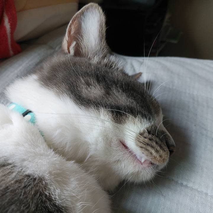 9d540910 31f2 485c b362 966038263370 1589795080659