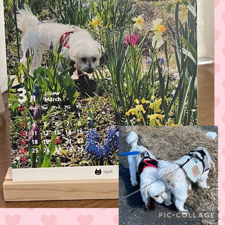 9d541ac8 58fd 4534 9a26 58893216d85c 1709289620378