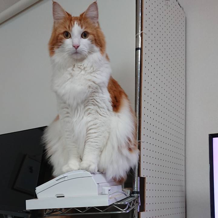 9d5423f5 5004 4c20 b3f9 74d753c16287 1577598722323