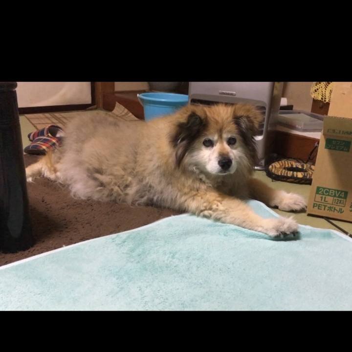 9d5436f0 c91c 4ba2 9360 7cf3a6c9a9af 1641470642429