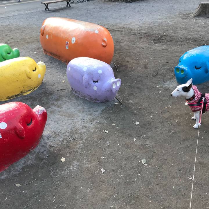 9d5437c0 4f93 4474 aa46 332db7336dbd 1518085783524