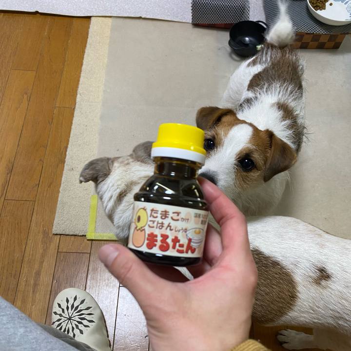 9d549790 d895 48eb b2b7 584462434014 1705443707632