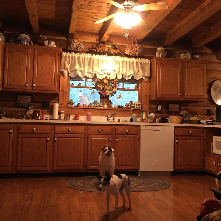 9d54ae5a 85d7 43d5 8b25 c4260e4b47ea 1543064423201