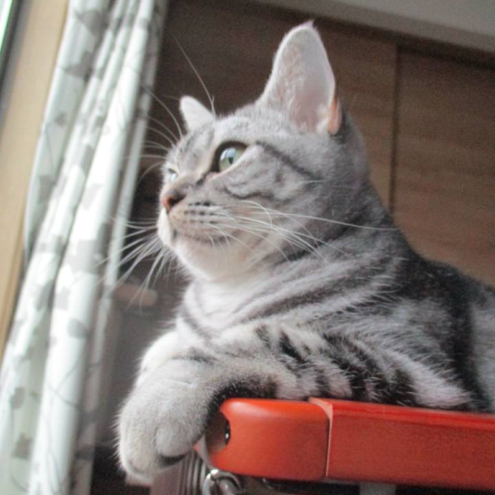 9d54d636 1a61 43f0 948c 38dc16168f50 1570527592544