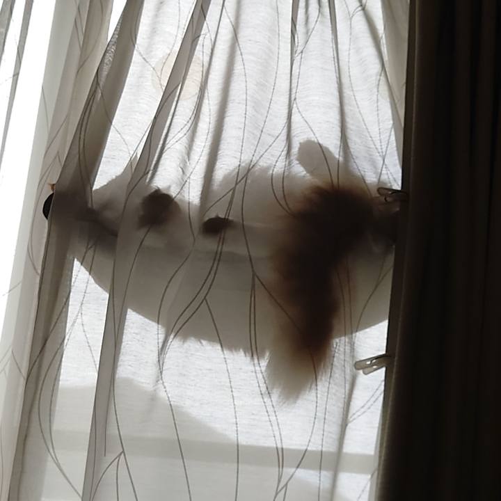 9d553682 d0c0 4f5b bc14 9cb7e746cea9 1603335276640